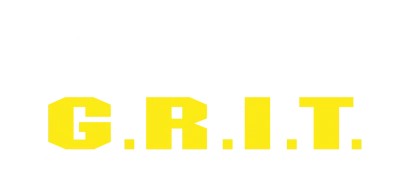 Sniper: G.R.I.T. - Squadra Globale Risposta e Intelligence