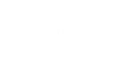 Il re leone