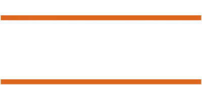 The Mexican - Amore senza la sicura